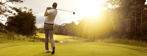 Explore Your Favourite Courses